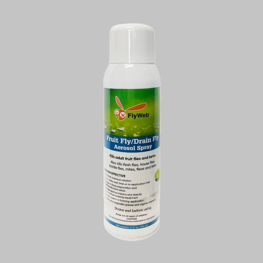 FlyWeb Fruit Fly/Drain Fly Aerosol Spray